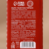 Подарочный набор URAL LAB &laquo;Снегопад чудес&raquo;, мыло для рук кусковое 100 г и мочалка для тела, Новый Год