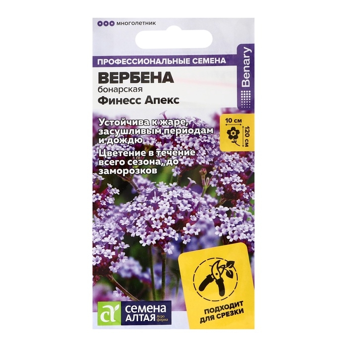 Семена цветов Вербена Финесс Апекс бонарская, ц/п, 5 шт. Семена цветов Вербена Финесс Апекс бонарская, ц/п, 5 шт.