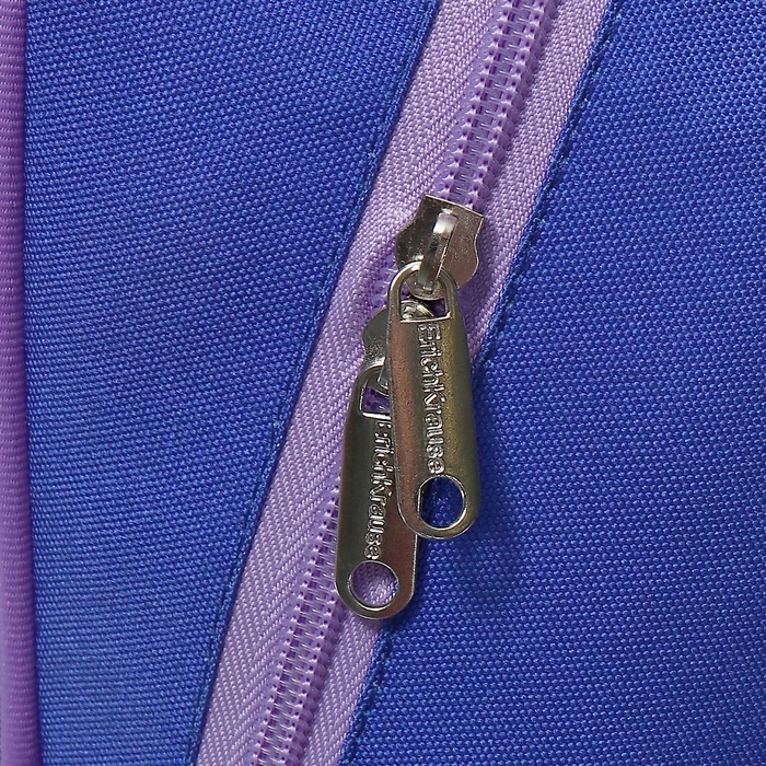 Рюкзак школьный Erich Krause ErgoLine 15L, 39 х 28 х 14 см, эргономичная спинка, Kawaii Whale 60093 Рюкзак школьный Erich Krause ErgoLine 15L, 39 х 28 х 14 см, эргономичная спинка, Kawaii Whale 60093