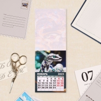 Календарь отрывной на магните "Символ года - 11" 2025 год, 10 х 13,5 см Календарь отрывной на магните "Символ года - 11" 2025 год, 10 х 13,5 см