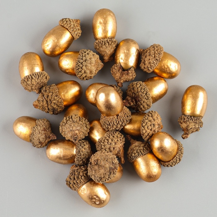 Декор &laquo;Золотые желуди&raquo;, набор 20 шт., для творчества, 3 &times; 2см
