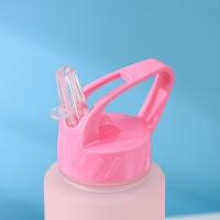 Бутылка с трубочкой Доляна «Градиент», 700 мл, 25×7×8 см, цвет МИКС Бутылка с трубочкой Доляна «Градиент», 700 мл, 25×7×8 см, цвет МИКС