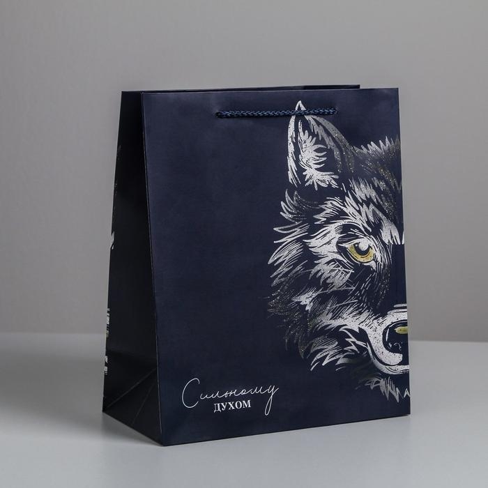 Пакет подарочный ламинированный вертикальный, упаковка, «Сильному духом», ML 23 х 27 х 11,5 см Пакет подарочный ламинированный вертикальный, упаковка, «Сильному духом», ML 23 х 27 х 11,5 см