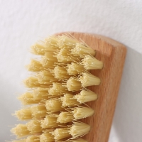 Щётка для одежды, 8&times;3,5 см, 44 пучка, искусственная щетина, цвет МИКС