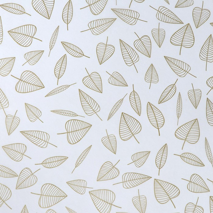 Бумага силиконизированная &laquo;Осень&raquo;, для выпечки, 0,38 х 5 м