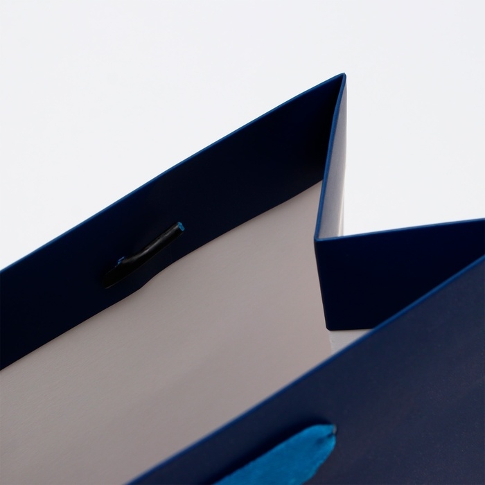 Пакет ламинированный &laquo;Синий&raquo;, MS 18 &times; 23 &times; 10 см