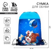 Мешок для обуви &laquo;Космический пушистик&raquo; нетканное полотно, размер 30 х 40 см