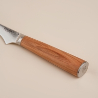 Нож кухонный SL Home «Оливия», обвалочный, лезвие 14 см, дамасская сталь, цвет коричневый Нож кухонный SL Home «Оливия», обвалочный, лезвие 14 см, дамасская сталь, цвет коричневый