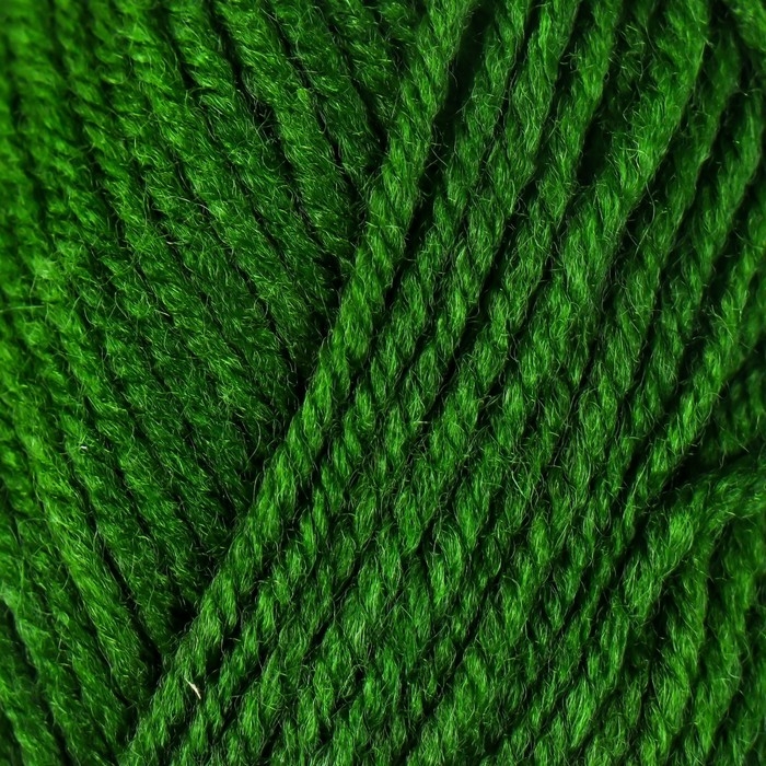 Пряжа 100% акрил "Softy Kids" 90м &plusmn;5м 50 гр цвет 42 хвоя