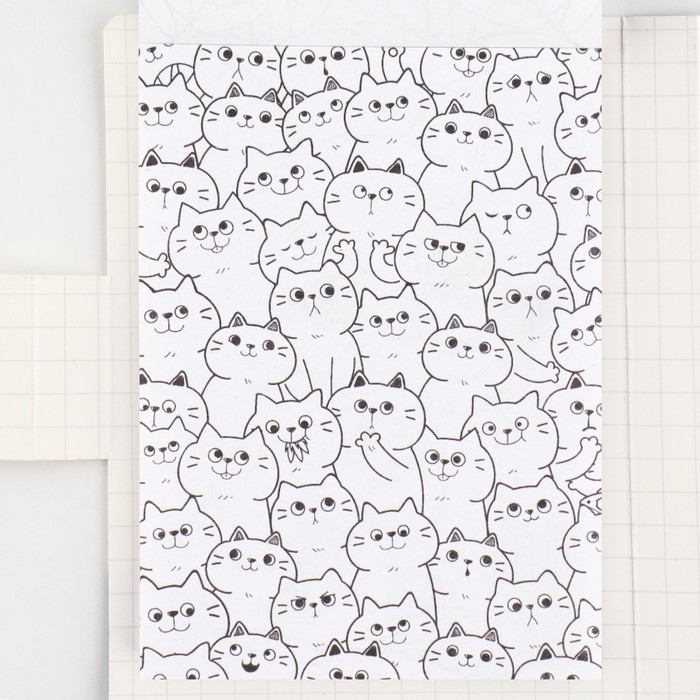 Подарочный набор в открытке: отрывной блок с заданиями и карандаши &laquo;Енот&raquo;