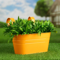 Кашпо "Ванночка" навесное, МИКС 26х14х12см Кашпо "Ванночка" навесное, МИКС 26х14х12см