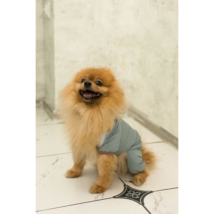 Комбинезон зимний для животных, флис, XL (ДС 32-34, ОШ 32, ОГ 40-44 см), серый