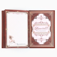 Родословная книга с новогодним пояском &laquo;Новый год: Каждый день&raquo;, 16,5 х 24 см.