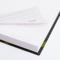 Ежедневник &laquo;Лев характер и сила&raquo;, А5, 160 листов