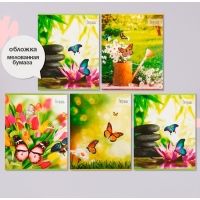 Комплект тетрадей из 5 штук (4 разные + 1 повторяющаяся), 36 листов в клетку Calligrata "Бабочки", обложка мелованная бумага, блок №2, белизна 75% (серые листы) Комплект тетрадей из 5 штук (4 разные + 1 повторяющаяся), 36 листов в клетку Calligrata "Бабочки", обложка мелованная бумага, блок №2, белизна 75% (серые листы)