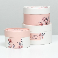 Набор шляпных коробок 3 в 1 "Little dream", завальцованная, 16 х 10, 14 х 9, 13 х 8,5 см Набор шляпных коробок 3 в 1 "Little dream", завальцованная, 16 х 10, 14 х 9, 13 х 8,5 см