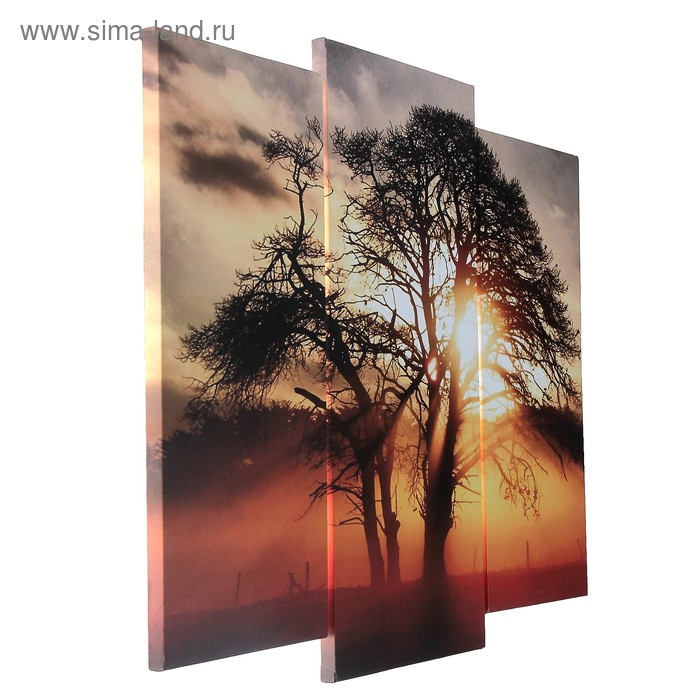 Модульная картина "На закате"  (2-25х52; 1-30х60) 60х80 см