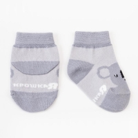 Набор носков Крошка Я &laquo;Коала&raquo;, 2 пары, 8-10