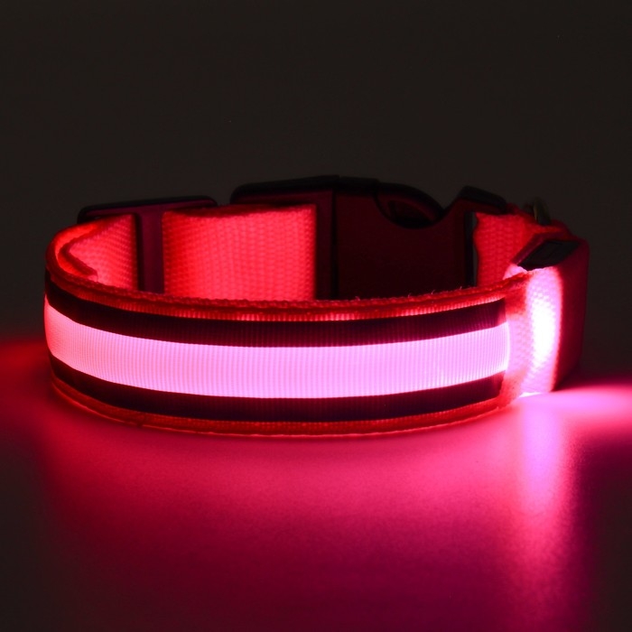 Ошейник с подсветкой Двойная полоса размер S, ОШ 35-43 х 2,5 см 3 режима свечения розовый Ошейник с подсветкой Двойная полоса размер S, ОШ 35-43 х 2,5 см 3 режима свечения розовый