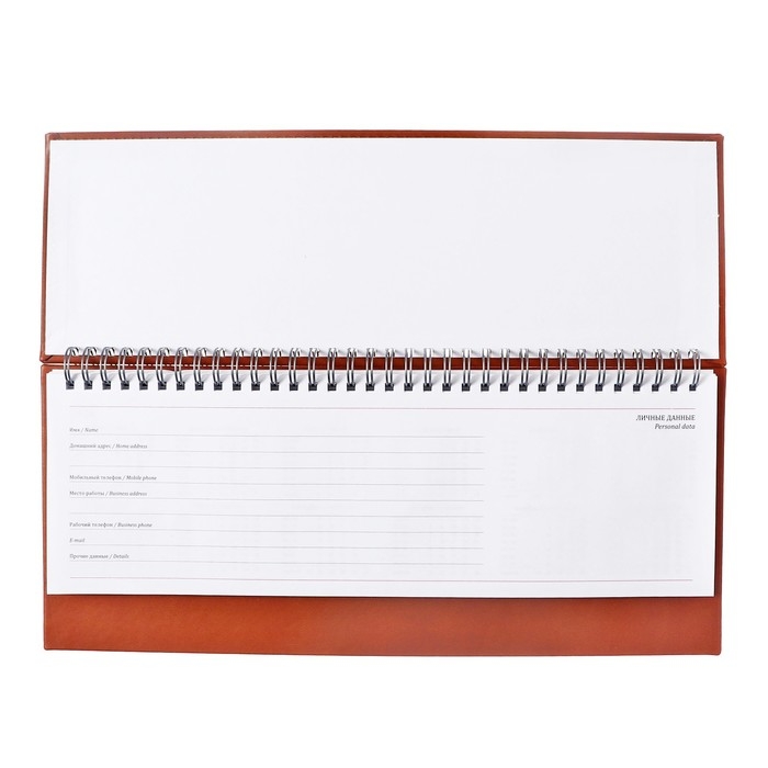 Планинг недатированный 100 х 300 мм, 56 листов, на гребне, обложка из искусственной кожи, коричневый Планинг недатированный 100 х 300 мм, 56 листов, на гребне, обложка из искусственной кожи, коричневый