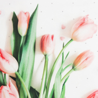 Набор подарочный &laquo;Весеннее настроение&raquo; полотенце 40х73 см, венчик кухонный.