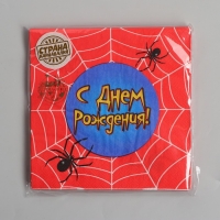 Салфетки бумажные двухслойные &laquo;С днём рождения&raquo;, паутина, 33х33, 20 шт.
