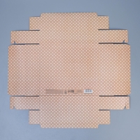 Коробка подарочная, упаковка, &laquo;Горошек&raquo; , 23.5 х 20.5 х 5.5 см