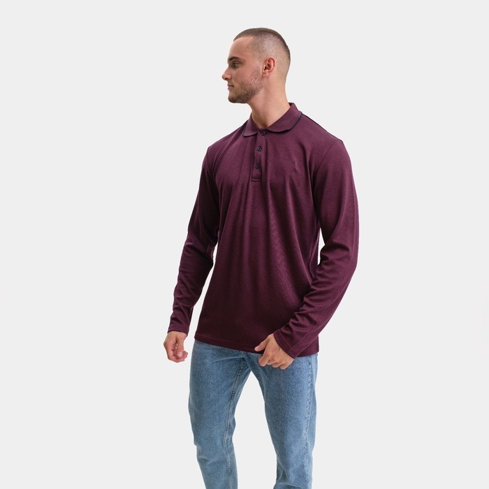 Поло мужское с длинным рукавом, цвет бордовый, размер 44 (S)