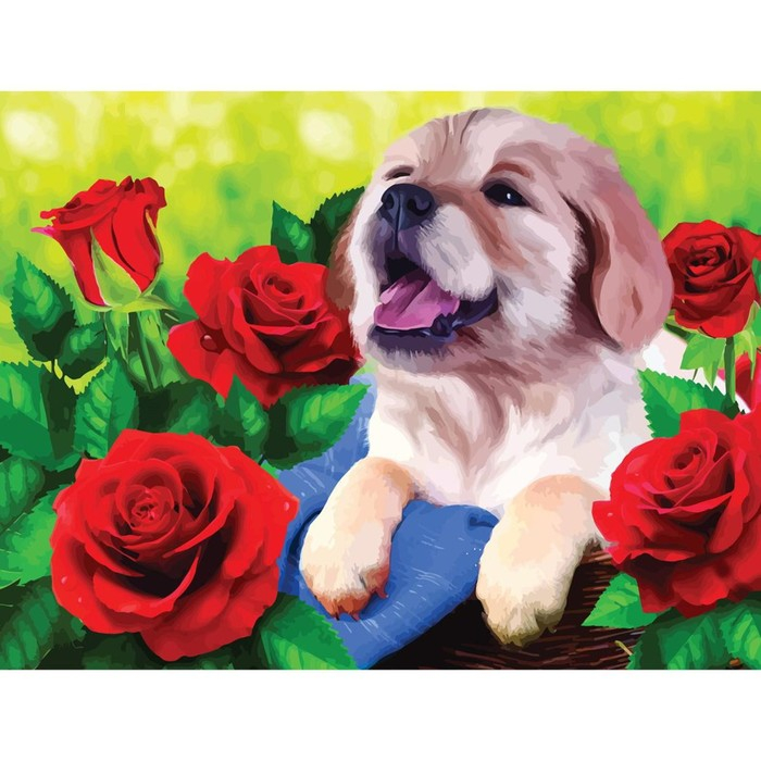 Алмазная мозаика с полным заполнением на холсте &laquo;Щенок&raquo;, 30 х 40 см