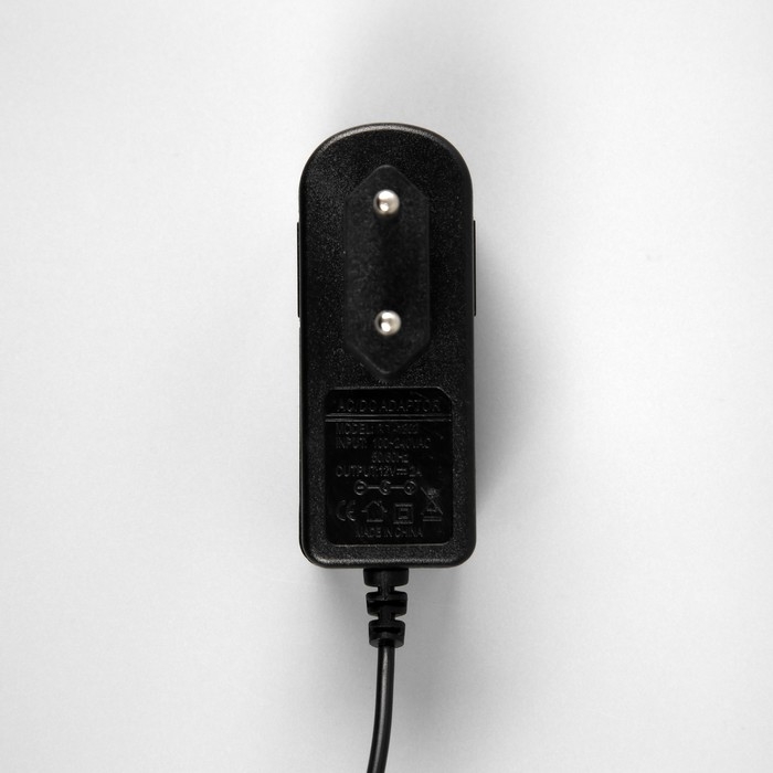 Гирлянда &laquo;Конский хвост&raquo; 20 нитей по 2 м, нить медная, 400 LED, 12 В, блок питания в комплекте, фиксинг, свечение белое