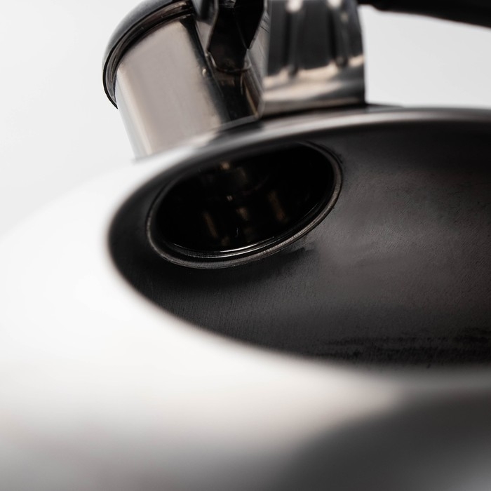 Чайник со свистком из нержавеющей стали &laquo;Семейный&raquo;, 1,9 л, цвет хромированный