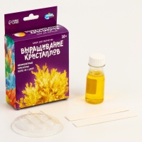 Выращивание кристаллов &laquo;Опыты. Лучистый кристалл&raquo;, цвет жёлтый