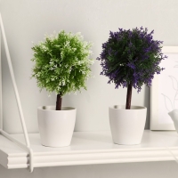 Бонсай в горшке "Листочки-ёлочки" 20 см, микс Бонсай в горшке "Листочки-ёлочки" 20 см, микс