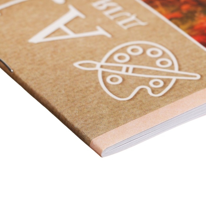 Альбом для рисования А4, 20 листов, на скрепке, "Ассорти" Выпуск №4, обложка офсетная бумага, блок 100 г/м2, МИКС