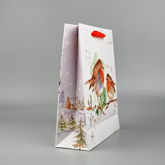 Пакет подарочный новогодний ламинированный &laquo;Пение птиц&raquo;, M 30 х 26 х 9 см
