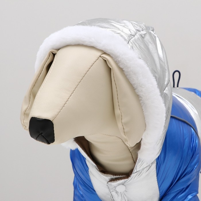 Комбинезон Комбинезон "Блик" с утяжкой, размер 10 (ДС 25 см, ОГ 34 см, ОШ 24 см), серебряно-синий