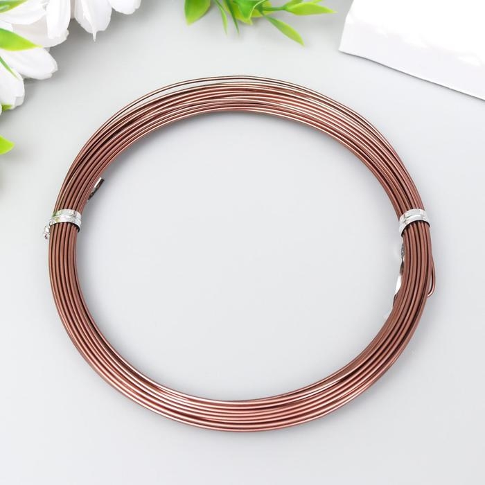 Проволока для рукоделия Проволока для рукоделия "Астра" 1 мм, 10 м, тёмно-коричневый