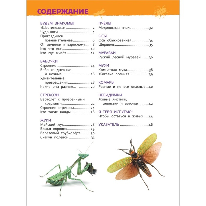 Энциклопедия для детского сада &laquo;Насекомые&raquo;