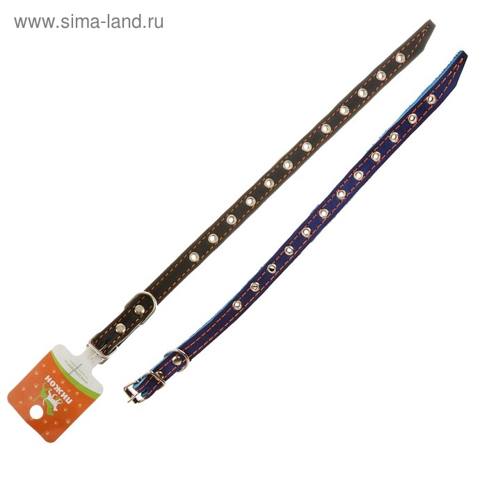 Ошейник кожаный на синтепоне, безразмерный, 37 х 1,5 см, ОШ 21-31 см, синий