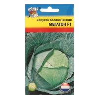 Семена Капуста белокочаная "Мегатон", F1, 0,1 гр. Семена Капуста белокочаная "Мегатон", F1, 0,1 гр.