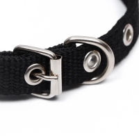 Ошейник "Комфорт" комбинированный, 39 х 1,5 см, ОШ 26-33 см, чёрный Ошейник "Комфорт" комбинированный, 39 х 1,5 см, ОШ 26-33 см, чёрный