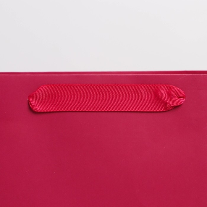 Пакет подарочный ламинированный, упаковка, «Фуксия», M 25.5 х 32 х 9 см Пакет подарочный ламинированный, упаковка, «Фуксия», M 25.5 х 32 х 9 см