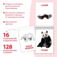 Книги &laquo;Карточки Домана. Узнаём мир&raquo;, набор, 8 шт. по 20 стр.