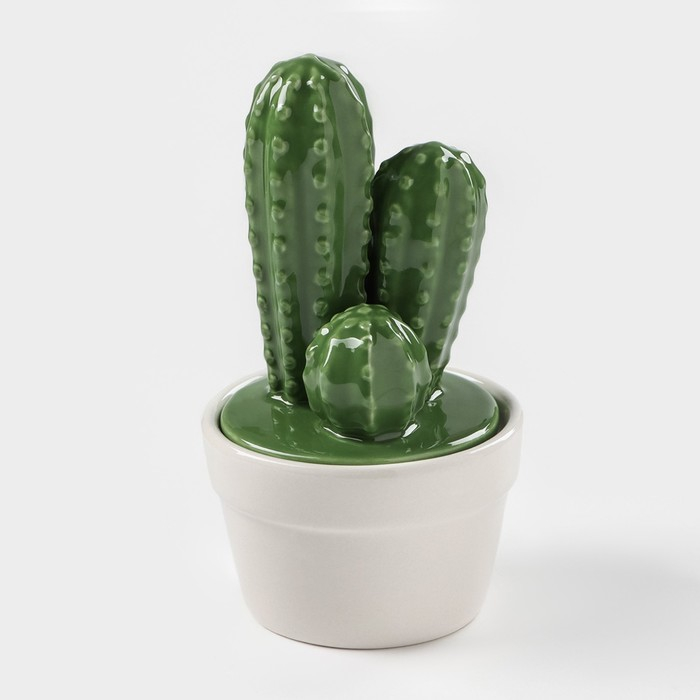 Банка для хранения сыпучих продуктов Доляна &laquo;Кактус&raquo;, 170 мл, 8&times;8&times;15 см, керамическая