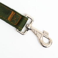 Поводок двухслойный с усиленным карабином, 2 м х 3 см, зелёный Поводок двухслойный с усиленным карабином, 2 м х 3 см, зелёный