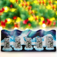 Новый год. Конфеты глазированные "Хозяин Антарктиды", 55 г Новый год. Конфеты глазированные "Хозяин Антарктиды", 55 г