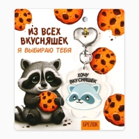 Брелок для ключей акриловый &laquo;Енот&raquo;, 5 х 4,9 см