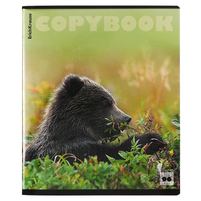 Тетрадь 96 листов в клетку, ErichKrause "Медведи", обложка мелованный картон, глянцевая ламинация, блок офсет 100% белизна, МИКС