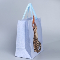 Пакет подарочный, упаковка, &laquo;Кот&raquo;, 30 х 30 х 15 см