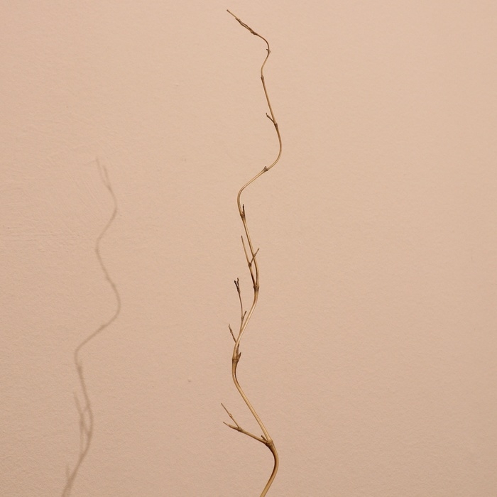 Интерьерный декор из бамбука, 200 см светлый